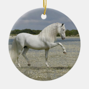 Fantasy Horses: Lord of the Lake Ceramic Ornament