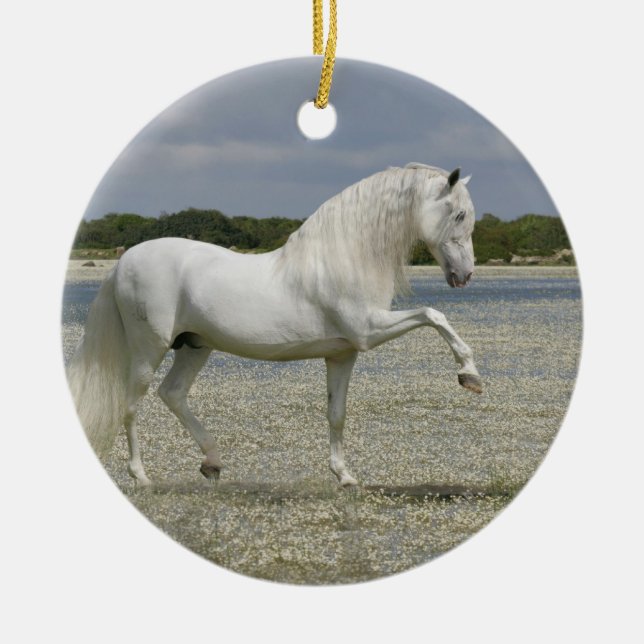 Fantasy Horses: Lord of the Lake Ceramic Ornament (Front)