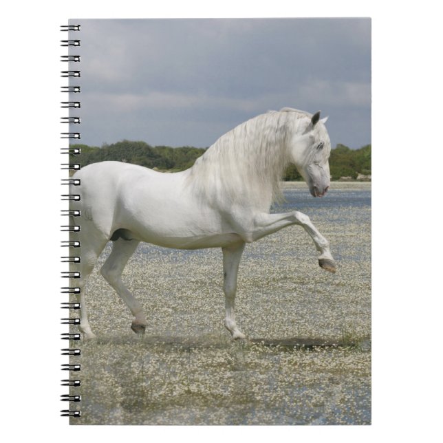 Fantasy Horses: Lord of the Lake Notebook (Front)