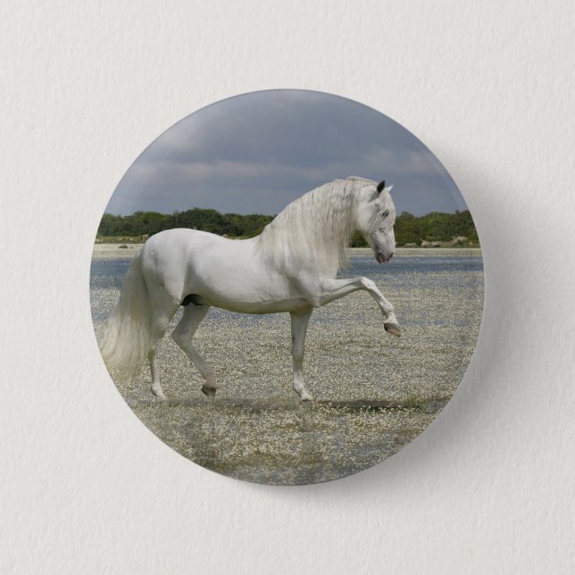 Fantasy Horses: Lord of the Lake Pinback Button (Front)