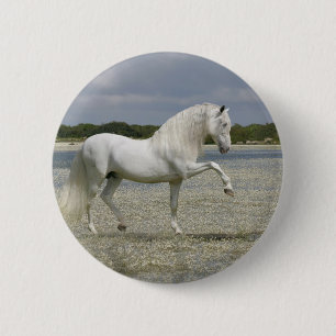 Fantasy Horses: Lord of the Lake Pinback Button