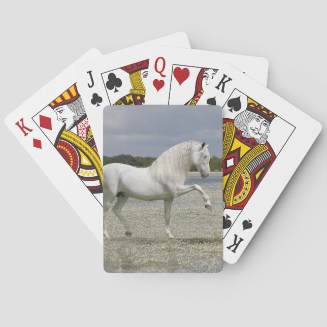 Fantasy Horses: Lord of the Lake Poker Cards (Back)