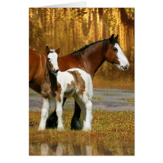 Fantasy Horses: Mare & Foal Cards (Front)