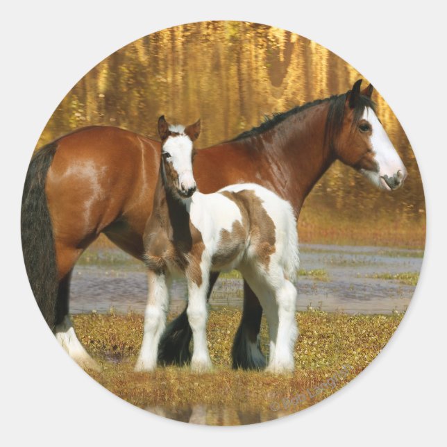 Fantasy Horses: Mare & Foal Classic Round Sticker (Front)