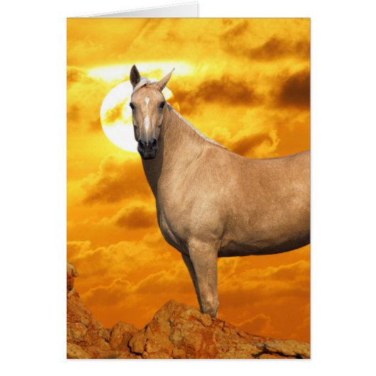 Fantasy Horses: Mountain (Front)