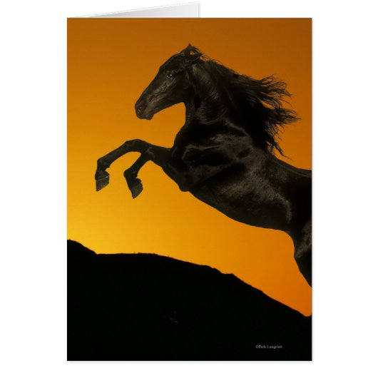 Fantasy Horses: Mountain Sunset Cards (Front)