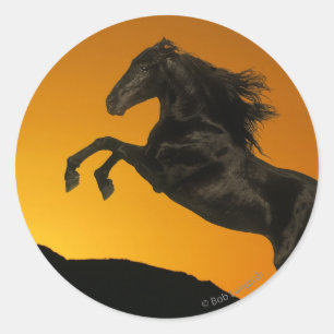 Fantasy Horses: Mountain Sunset Classic Round Sticker