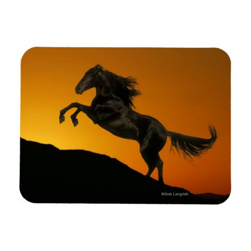 Fantasy Horses Mountain Sunset Magnet