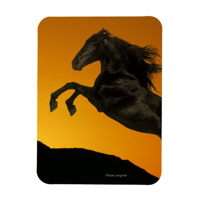 Fantasy Horses: Mountain Sunset Magnet (Vertical)