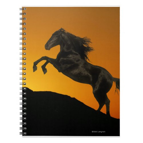 Fantasy Horses Mountain Sunset Notebook