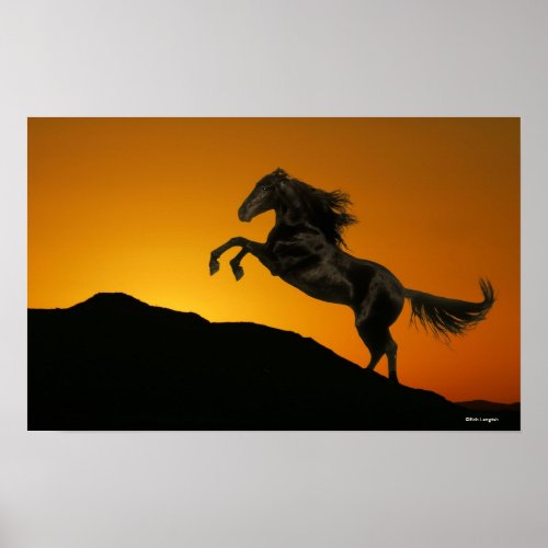 Fantasy Horses Mountain Sunset Poster