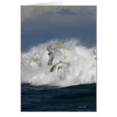 Fantasy Horses: Sea (Front)