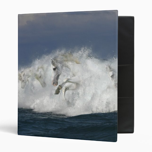 Fantasy Horses: Sea 3 Ring Binder (Front/Inside)