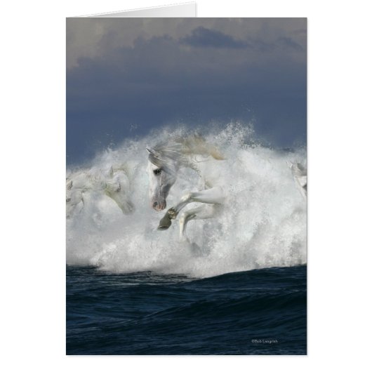 Fantasy Horses: Sea Cards (Front)