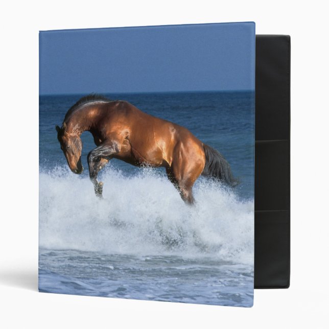 Fantasy Horses: Selle Francais & Sea Binder (Front/Inside)