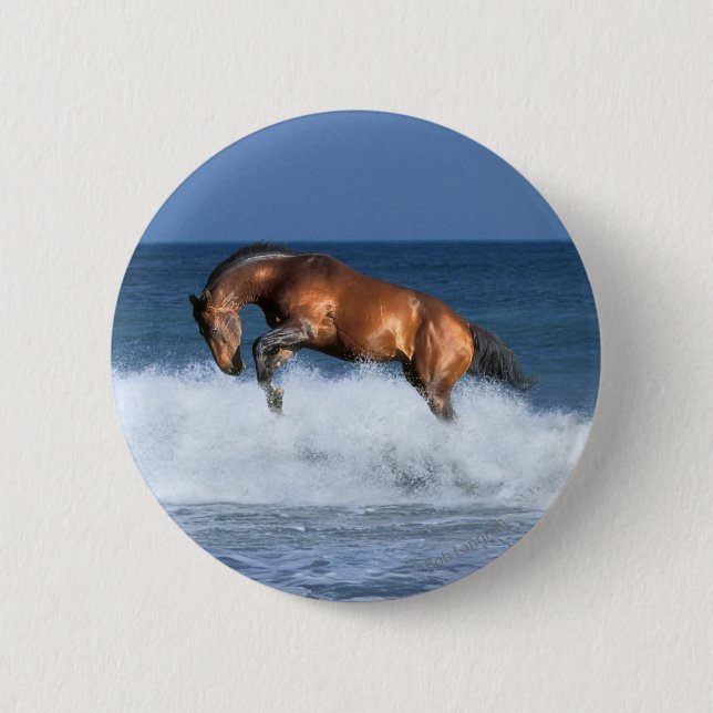 Fantasy Horses: Selle Francais & Sea Button (Front)