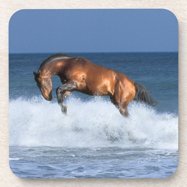 Fantasy Horses: Selle Francais & Sea Drink Coaster (Front)