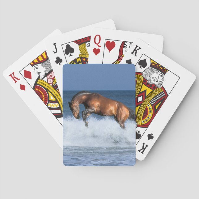 Fantasy Horses: Selle Francais & Sea Poker Cards (Back)
