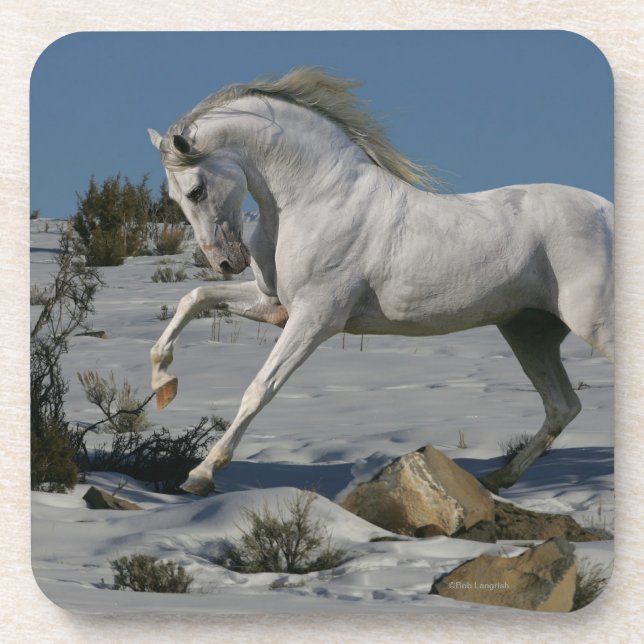Fantasy Horses: Snow King Beverage Coaster (Front)