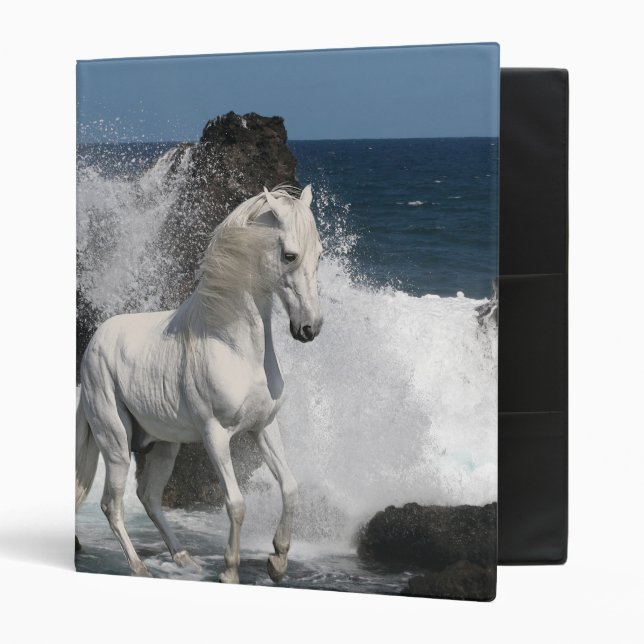 Fantasy Horses: Southern Seas 3 Ring Binder (Front/Inside)