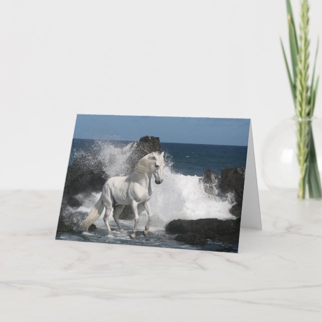 Fantasy Horses: Southern Seas Card (Front)