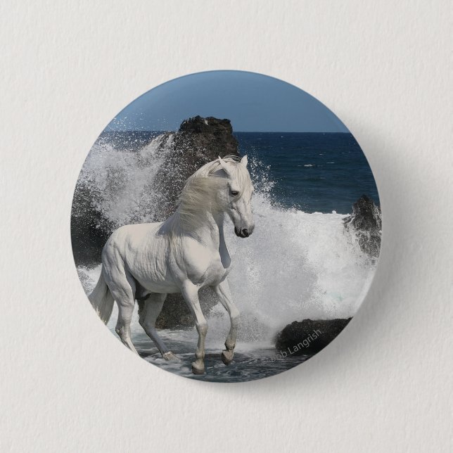 Fantasy Horses: Southern Seas Pinback Button (Front)
