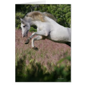 Fantasy Horses: Spring Gallop (Front)