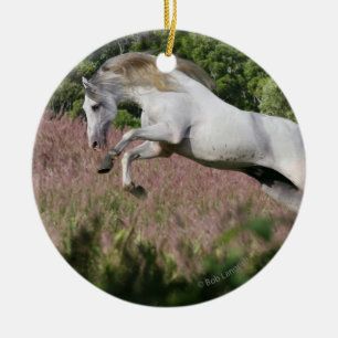 Fantasy Horses: Spring Gallop Ceramic Ornament
