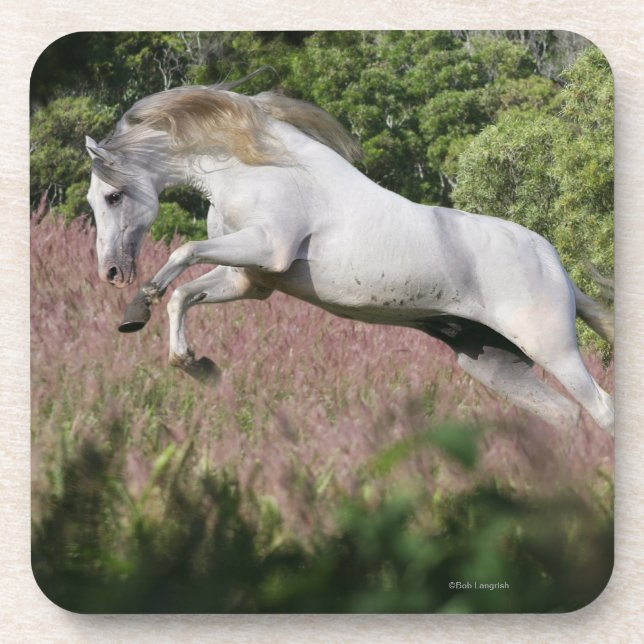 Fantasy Horses: Spring Gallop Drink Coaster (Front)