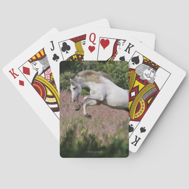 Fantasy Horses: Spring Gallop Poker Cards (Back)