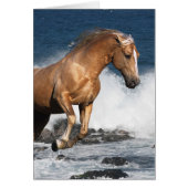 Fantasy Horses: Summer Splash (Front)