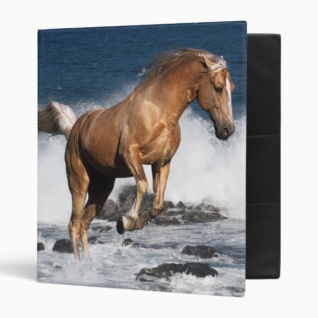 Fantasy Horses: Summer Splash Binder (Front/Inside)