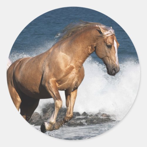 Fantasy Horses Summer Splash Classic Round Sticker