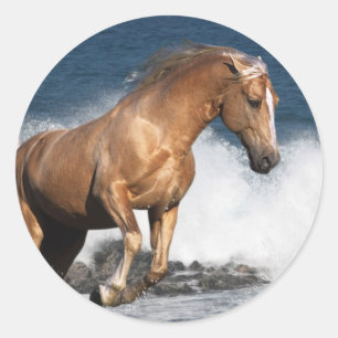 Fantasy Horses: Summer Splash Classic Round Sticker