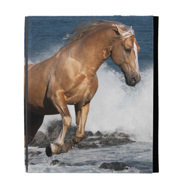 Fantasy Horses: Summer Splash iPad Folio Case (Front)