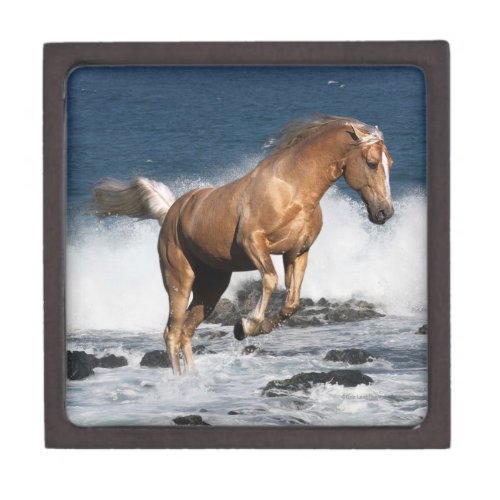 Fantasy Horses Summer Splash Jewelry Box