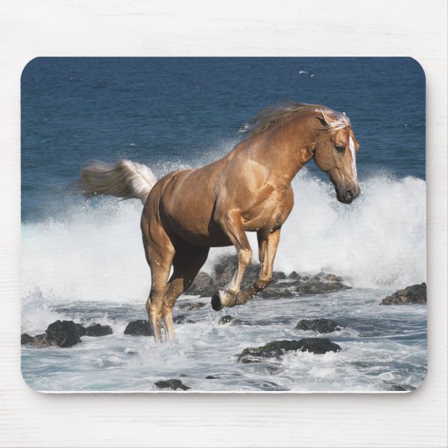Fantasy Horses: Summer Splash Mouse Pad (Front)