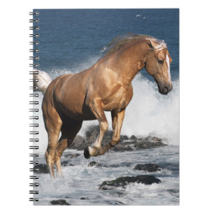 Fantasy Horses: Summer Splash Notebook