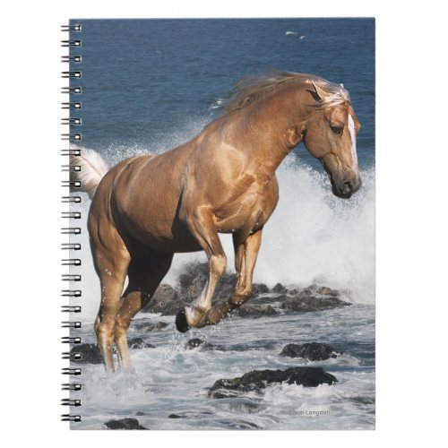 Fantasy Horses Summer Splash Notebook