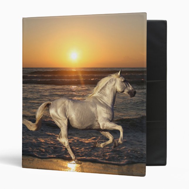 Fantasy Horses: Sunset Binder (Front/Inside)