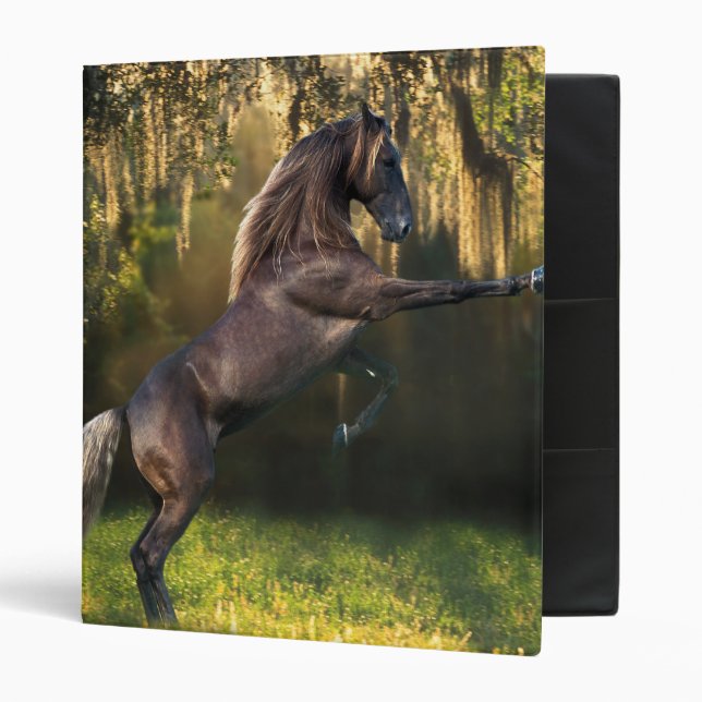 Fantasy Horses: Warrior Prince 3 Ring Binder (Front/Inside)