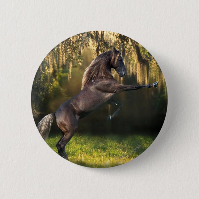 Fantasy Horses: Warrior Prince Button (Front)
