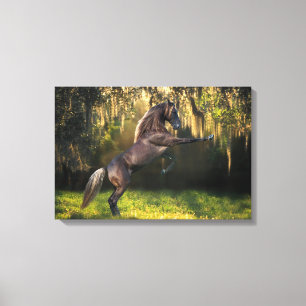 Fantasy Horses: Warrior Prince Canvas Print