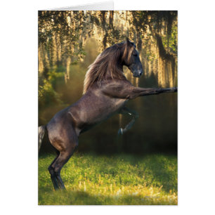Fantasy Horses: Warrior Prince Cards