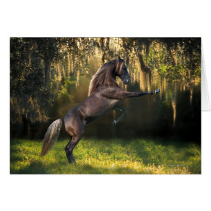 Fantasy Horses: Warrior Prince Cards