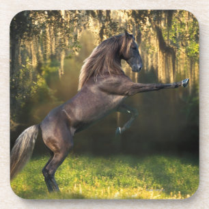 Fantasy Horses: Warrior Prince Coaster