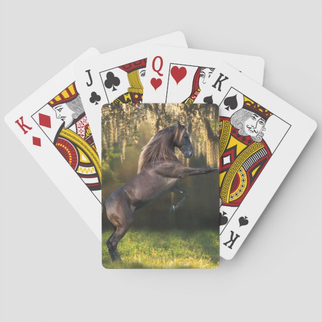 Fantasy Horses: Warrior Prince Poker Cards (Back)