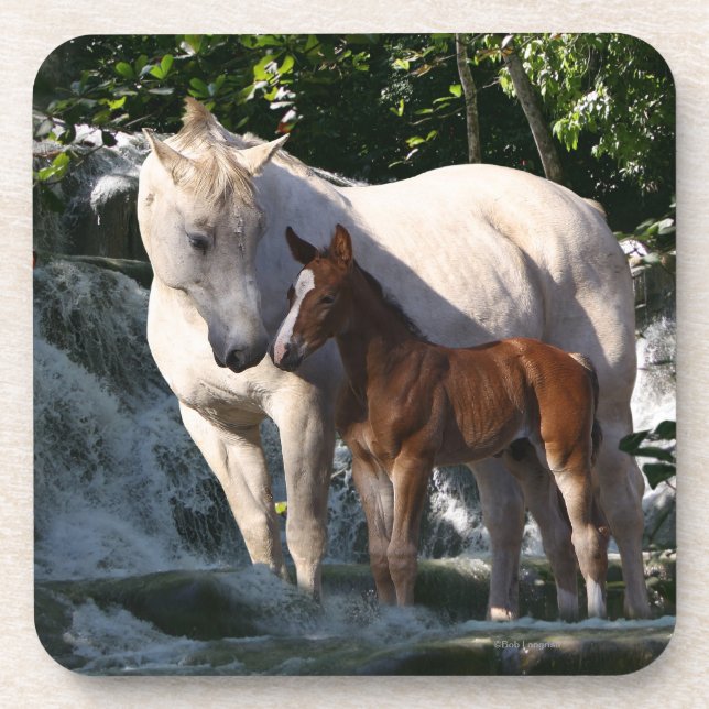 Fantasy Horses: Waterfall Beverage Coaster (Front)