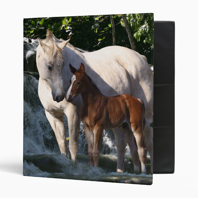 Fantasy Horses: Waterfall Binder (Front/Inside)