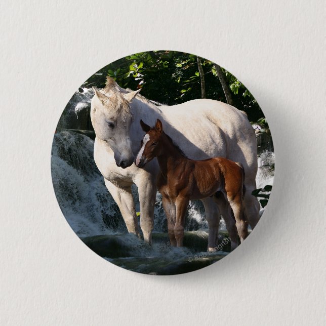 Fantasy Horses: Waterfall Button (Front)